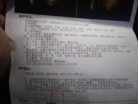 journal_insert_pic_1675593203