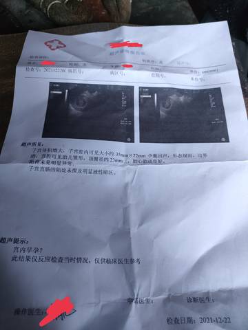 journal_insert_pic_1685665252