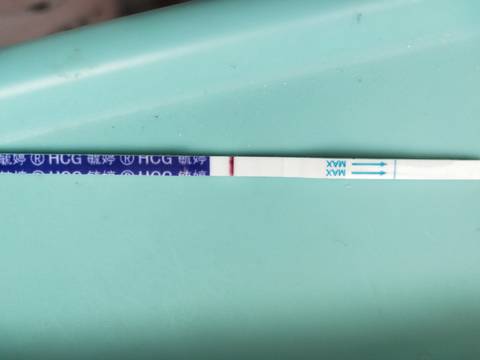 journal_insert_pic_1675264488