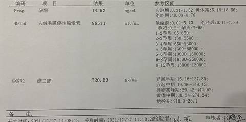 journal_insert_pic_1688440060
