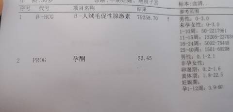 journal_insert_pic_1684207560
