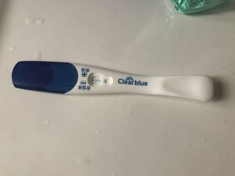 journal_insert_pic_1681882915