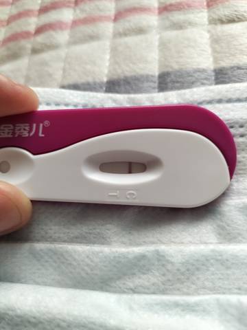 journal_insert_pic_1719587302