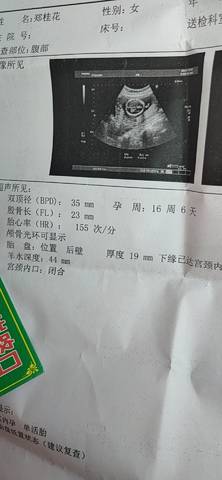 journal_insert_pic_1688228776