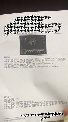 journal_insert_pic_1686648043