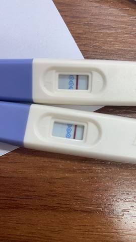 journal_insert_pic_1675288648