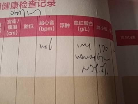 journal_insert_pic_1673937823