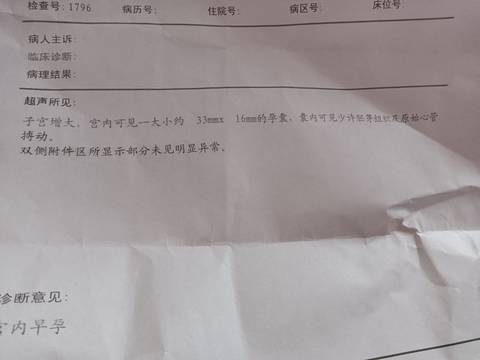 journal_insert_pic_1686570519