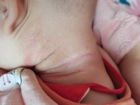 journal_insert_pic_1740879416