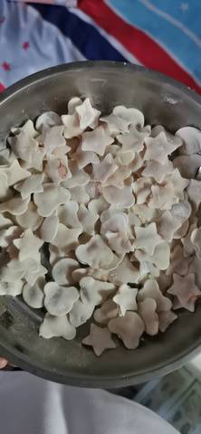 journal_insert_pic_1687419566