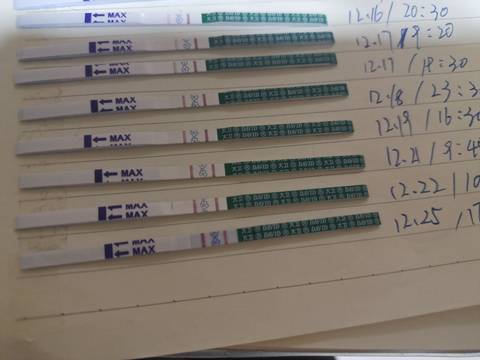 journal_insert_pic_1685955304