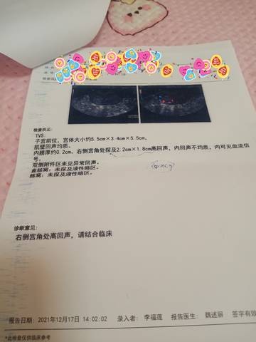 journal_insert_pic_1681702144