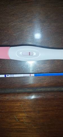 journal_insert_pic_1684160220