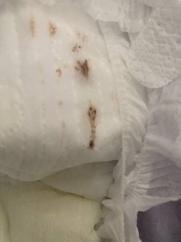 journal_insert_pic_1674195333