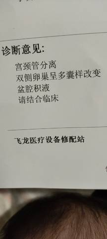 journal_insert_pic_1681832687