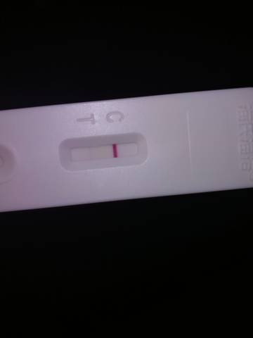 journal_insert_pic_1681053870