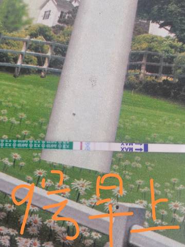 journal_insert_pic_1677249251