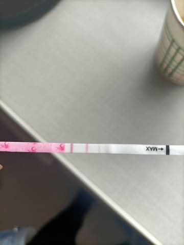 journal_insert_pic_1684252014