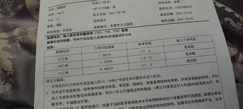 journal_insert_pic_1683698432