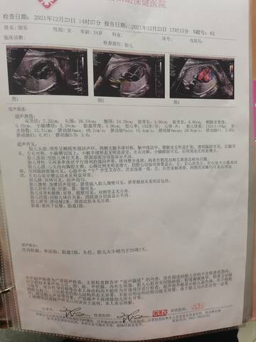 journal_insert_pic_1688960128