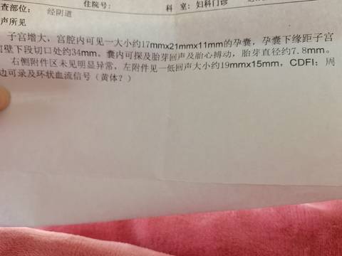 journal_insert_pic_1679534578
