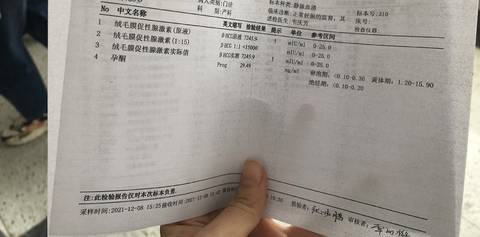 journal_insert_pic_1677402572