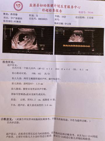 journal_insert_pic_1682488823