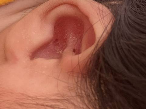 journal_insert_pic_1685736740