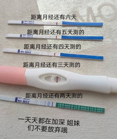 journal_insert_pic_1677402062