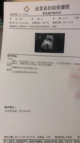 journal_insert_pic_1686345674