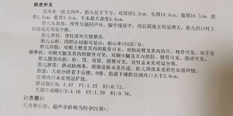 journal_insert_pic_1686176028