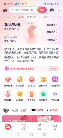 journal_insert_pic_1683241844