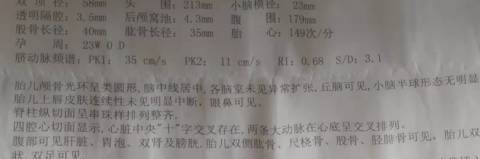 journal_insert_pic_1676738453