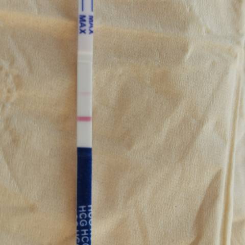 journal_insert_pic_1685111655