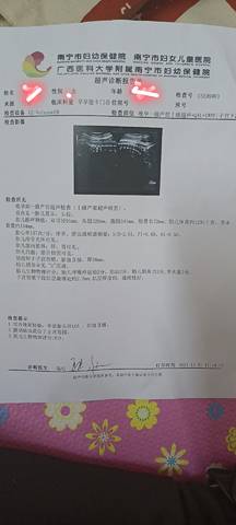 journal_insert_pic_1689611038