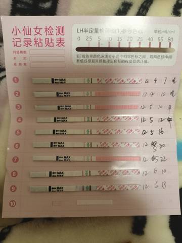 journal_insert_pic_1674965532