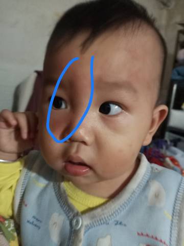 journal_insert_pic_1679288436