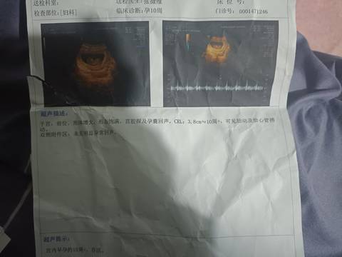 journal_insert_pic_1681014245