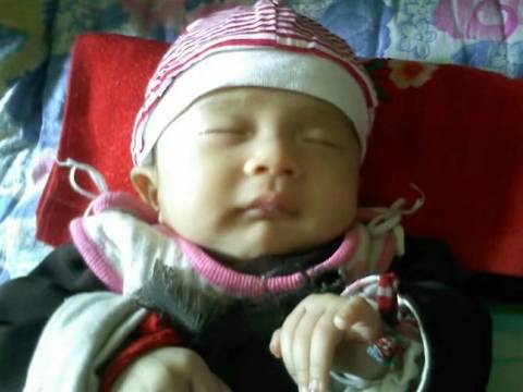 journal_insert_pic_1681340255