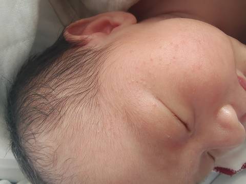 journal_insert_pic_1683538539