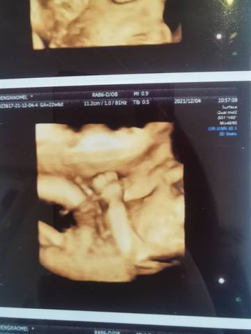 journal_insert_pic_1673549480