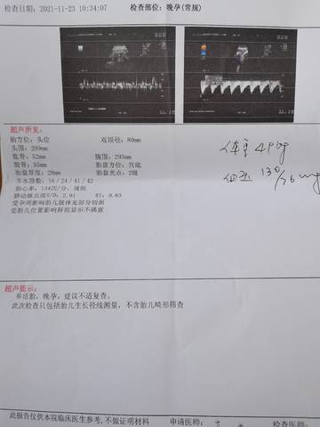 journal_insert_pic_1679572976