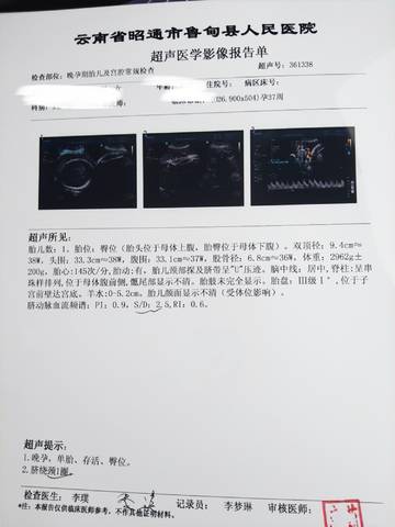 journal_insert_pic_1681728378