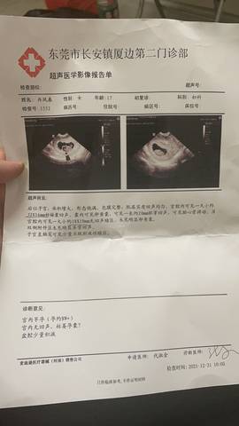 journal_insert_pic_1689693602