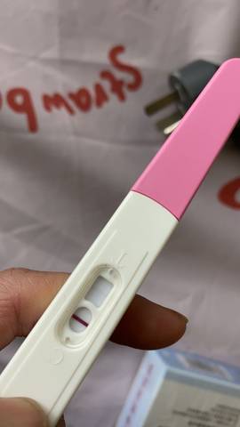 journal_insert_pic_1682609722