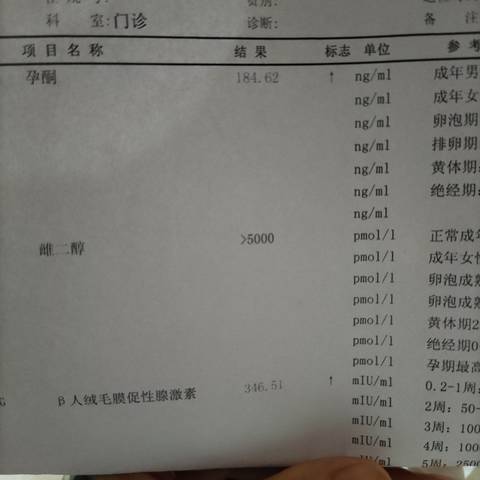 journal_insert_pic_1687330028