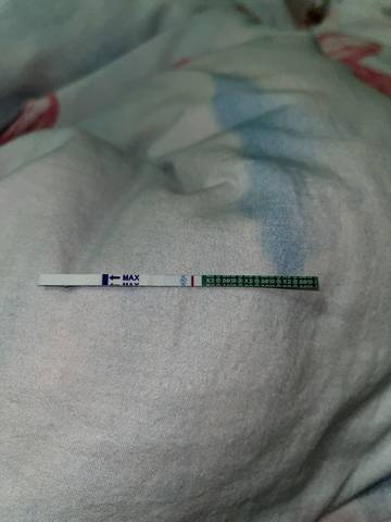 journal_insert_pic_1685688932