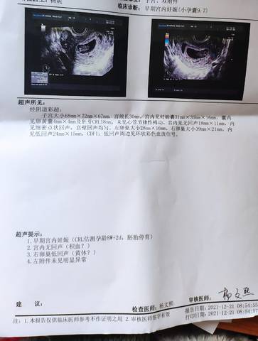 journal_insert_pic_1683545078