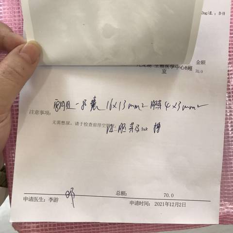 journal_insert_pic_1677209736