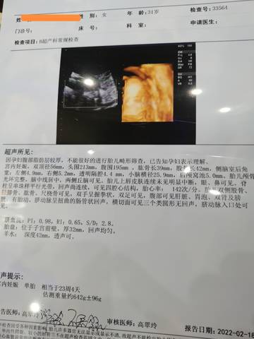 journal_insert_pic_1719682288